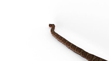  4k çözünürlüklü 3d ve bilgisayar canlandırma videosu.