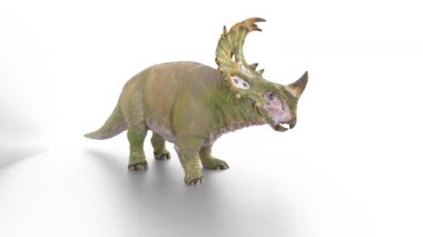 sinoceratops dinozoru beyaz arkaplan animasyonunda