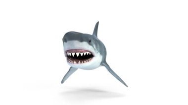 Büyük beyaz köpekbalığı Megalodon