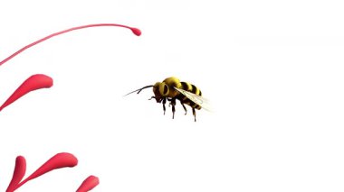 Bumblebee çiçeklere gel