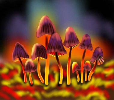 Glowing red and yellow mushrooms in the forest clipart