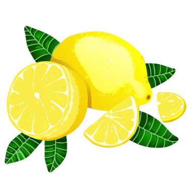 Yapraklar ve portakal dilimleriyle birlikte taze bir limon, doğal tazelik ve narenciye uyumu vurgulayan canlı bir kompozisyon sunar.