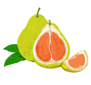 Beslenme, botanik veya gurme içeriği için uygun, görünür kesimler ve yeşil yapraklı pomelo meyveleri kes