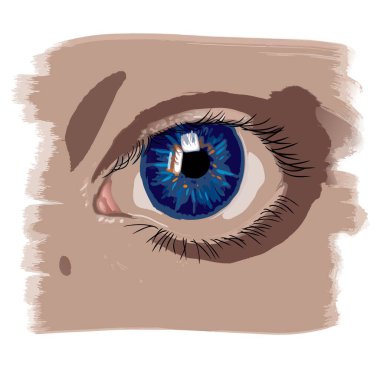 İnsan gözünün sanatsal temsili, tıbbi, kozmetik veya kavramsal görsel temalar için mükemmeldir.