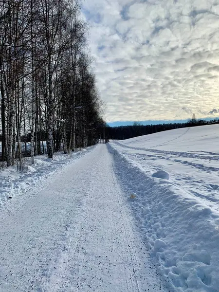 Serene Winter Landscape in Finland