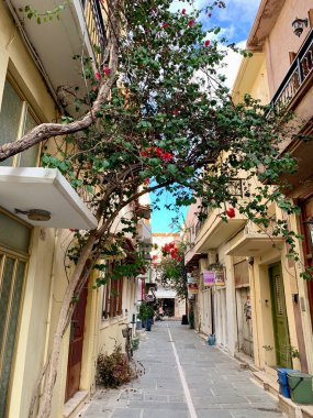Akdeniz 'in Çiçekli Ağacıyla Büyüleyici Dar Sokak