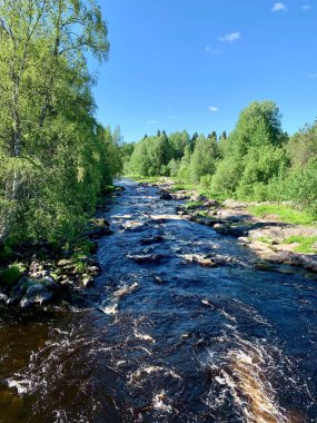 Parlak Mavi Gökyüzü Altındaki Yeşil Orman 'dan Akıntılı Nehir