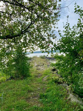 Huzurlu Orman Yolu Bir Göle Gidiyor