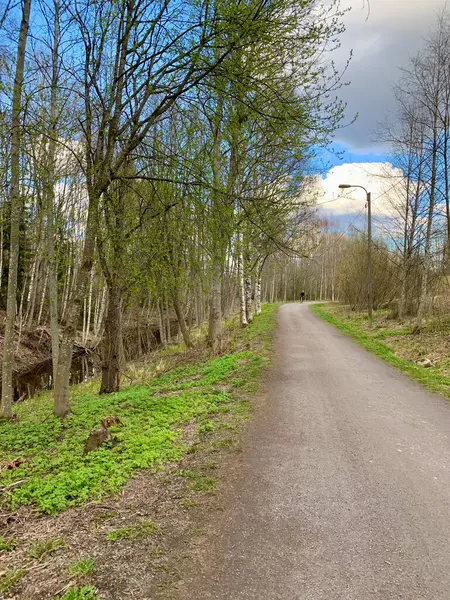 Taze Yeşilliklerle çevrili Manzaralı Yol