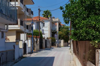 Pefkochori sokakları, Tebeşir ağacı - Yunanistan