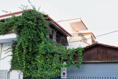 ev çatısı sarmaşık ve yapraklar Akdeniz sokaklarında Pefkochori, Tebeşir - Yunanistan