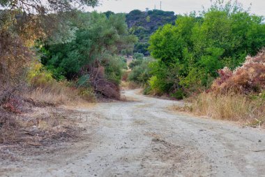 Ormandaki toprak yol Pefkochori, Tebeşir - Yunanistan