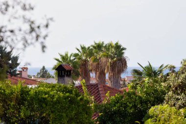 Şehir manzarası pefkochori, chalkidiki - Yunanistan