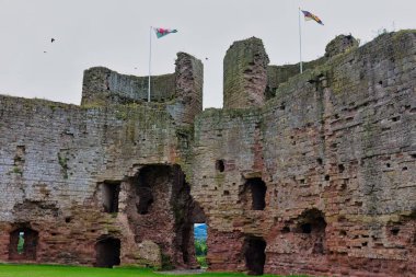 Kalenin kalıntıları - Castell Rhuddlan - Rhyl - Galler - Büyük Britanya