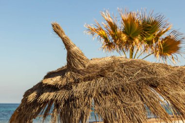 Port el Kantaoui 'de saman şemsiyesi - Sousse - Tunus