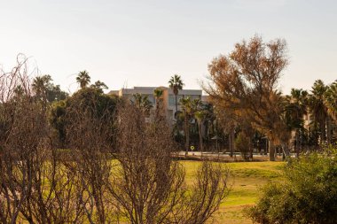 Port el Kantaoui 'deki parkın güzel manzarası - Susa - Tunus