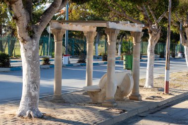 Port el Kantaoui 'deki et ve ağaçlar - Sousse - Tunus