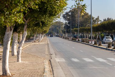 Port el Kantaoui 'deki parktaki yol - Sousse - Tunus