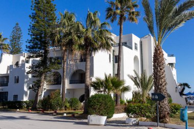 Port el Kantaoui 'deki palmiye ağaçları - Sousse - Tunus