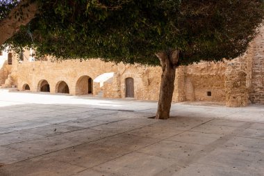 Tunus 'ta Ribat' ta ana meydandaki ağaç manzarası