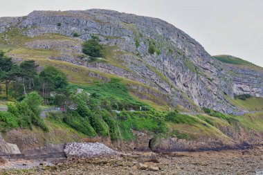 Deniz koyunun kayalık kıyısı. Llandudno - Galler - Büyük Britanya