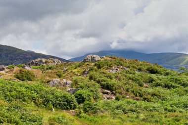 Rhaeadr Nantcol Şelaleleri - Galler - Büyük Britanya