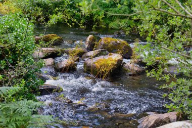 Rhaeadr Nantcol Şelaleleri - Galler - Büyük Britanya