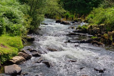 Rhaeadr Nantcol Şelaleleri - Galler - Büyük Britanya