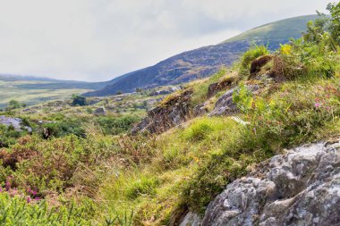 Rhaeadr Nantcol Şelaleleri - Galler - Büyük Britanya