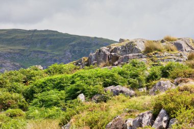 Rhaeadr Nantcol Şelaleleri - Galler - Büyük Britanya