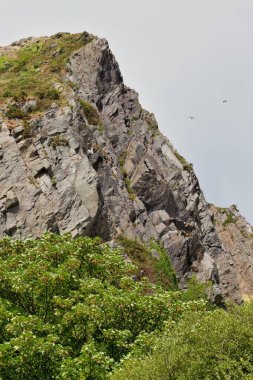 Barmouth, Gwynedd- Wales, Büyük Britanya 'daki yeşilliklerle çevrili kayalık bir dağın güzel bir görüntüsü.