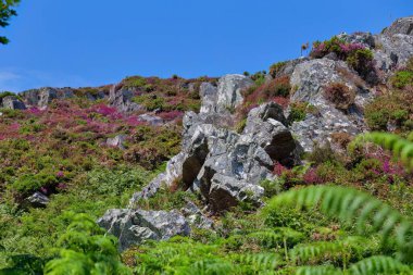 Barmouth, Gwynedd- Wales, Büyük Britanya 'da dağları ve kayaları olan güzel bir manzara.