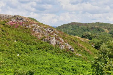 Barmouth 'taki dağlarda yeşil tepeler Gwynedd- Wales- Büyük Britanya