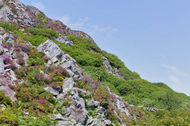 Barmouth 'taki kayalık dağın güzel manzarası Gwynedd- Wales - Büyük Britanya