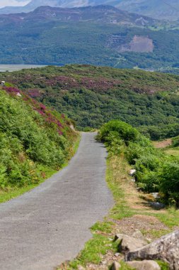 Barmouth, Gwynedd- Wales, İngiltere 'deki dağların dikey görüntüsü.