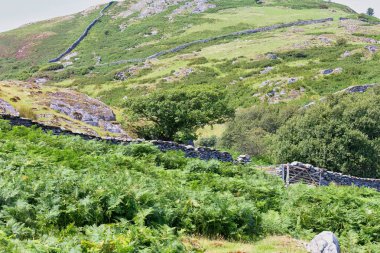 Barmouth 'taki yeşil tepeler ve taş duvarlar Gwynedd- Wales- Büyük Britanya