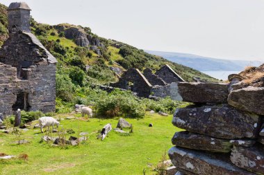 the stone ruined house in the village of the old town in Barmouth- Gwynedd- Wales- Great Britain clipart