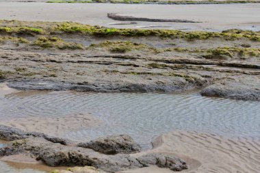 Alçak gelgit ve kumsal alçak gelgitte. Tal-y-bont - Gwynedd - Galler - İngiltere