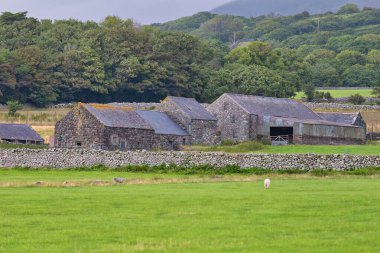 Tal-y-bont 'ta yeşil tarlası olan küçük bir çiftlik - Gwynedd - Galler - Büyük Britanya