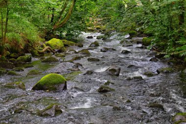 Tal-y-bont - Gwynedd - Galler - Büyük Britanya