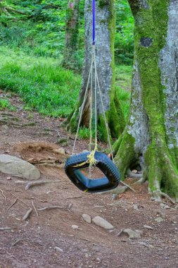 Tal-y-bont 'taki ormanda bir salıncak - Gwynedd - Galler - Büyük Britanya