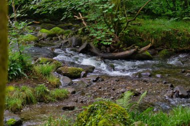 Tal-y-bont 'taki ormanda güzel bir şelale Gwynedd - Galler