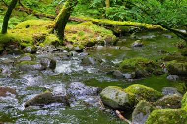 Tal-y-bont - Gwynedd - Galler - Büyük Britanya