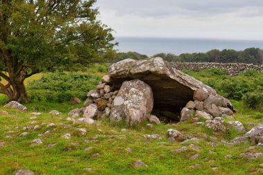 Cors y Gedol neolitik tarafı Tal-y-bont - Gwynedd - Büyük Britanya