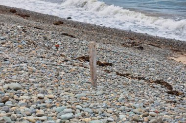 sea stones on the beach in Tal-y-bont - Gwynedd - Wales - Great Britain clipart