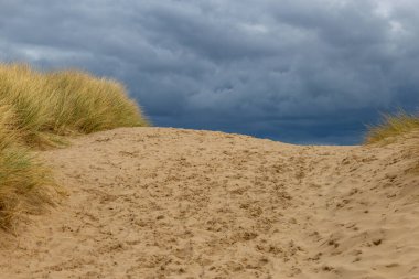 a beautiful view of the sandy beach with a cloudy sky in the background in Formby - Southport - North West - Great Britain clipart