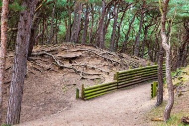 Formby kıyısındaki ormandan geçen patika - Southport - Kuzey Batı - Büyük Britanya