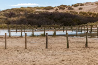 Bir bahar günü, Formby - Southport - Kuzeybatı - Büyük Britanya