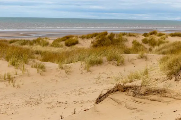 Formby 'deki kum tepeleri - Southport - Kuzey Batı - Büyük Britanya