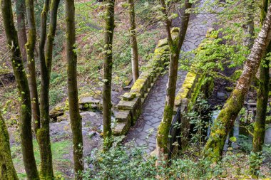 Rivington 'daki dağlarda eski taş köprü - Bolton - Kuzey Batı - Büyük Britanya